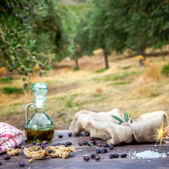 Tasting and Picnic @ the Mediterranean olive grove